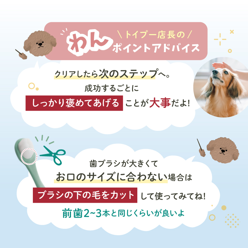 ペット 歯ブラシ 歯ぶらし 犬 猫 はぶらし 歯磨き 痛くない 超極細毛 ラシエム |  | 09