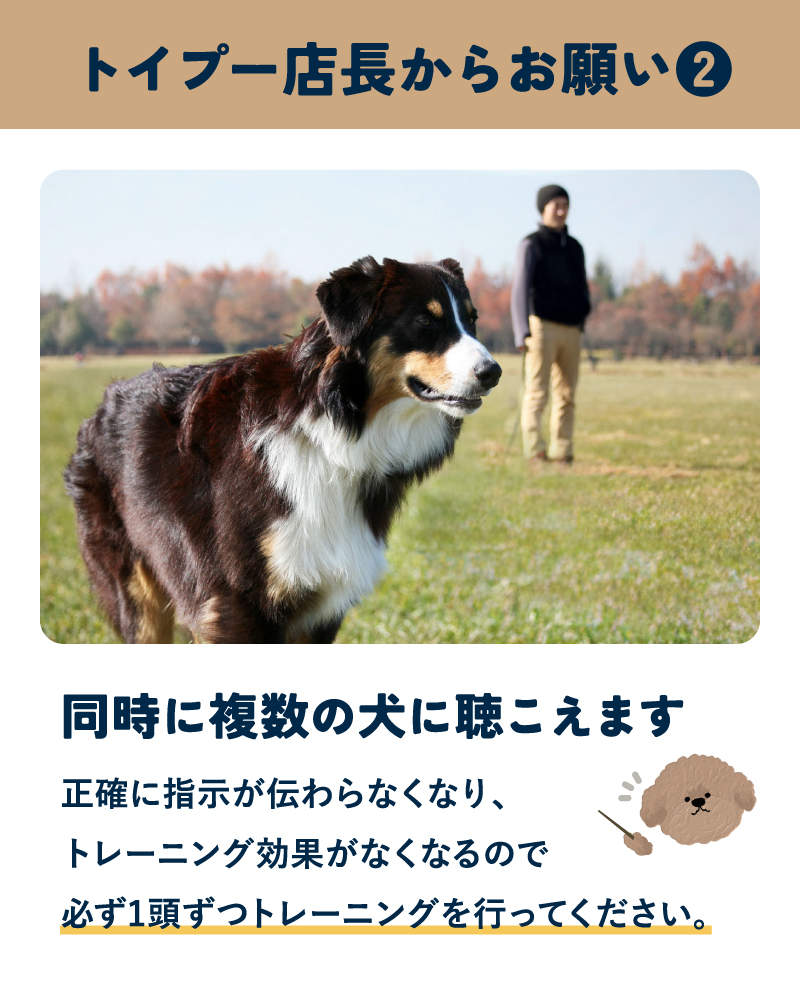 無駄吠え防止 犬 超音波 吠え防止器具 安全無害 防水 USB充電式 むだ吠え防止グッズ 吠え癖 しつけ ラシエム |  | 11