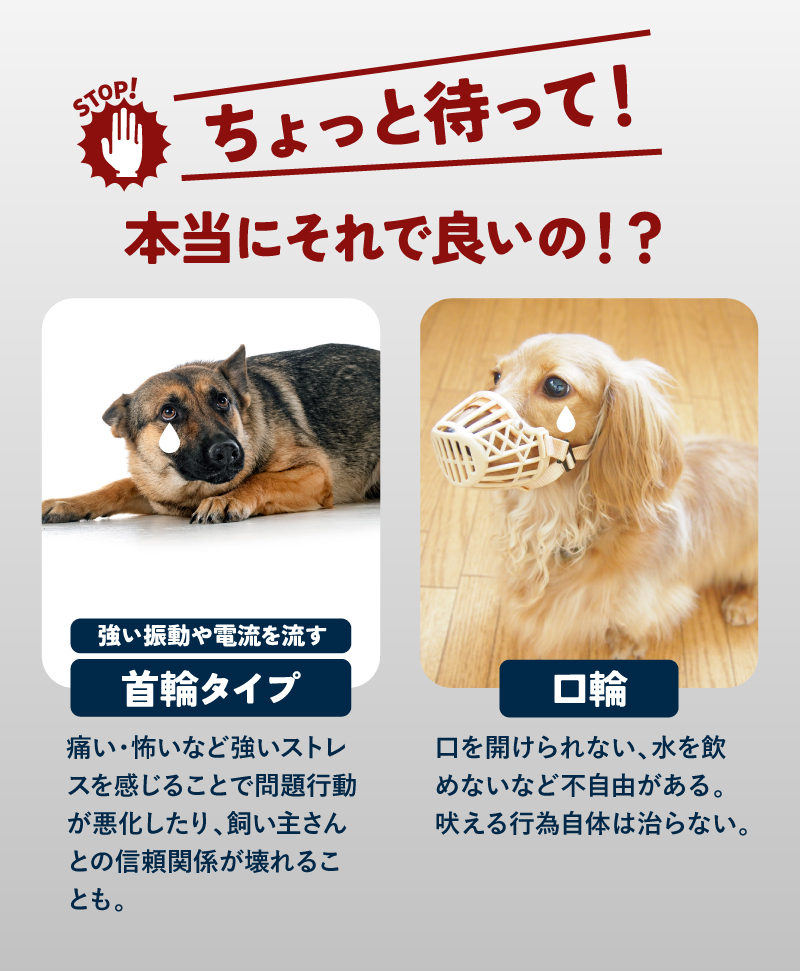 無駄吠え防止 犬 超音波 吠え防止器具 安全無害 防水 USB充電式 むだ吠え防止グッズ 吠え癖 しつけ ラシエム |  | 04