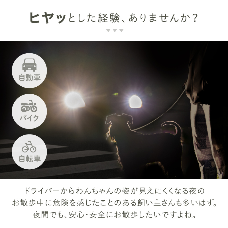 光る首輪 犬用 レインボー usb 充電 首輪 犬 猫 大型犬 小型犬 ペット LED ライト ラシエム |  | 09