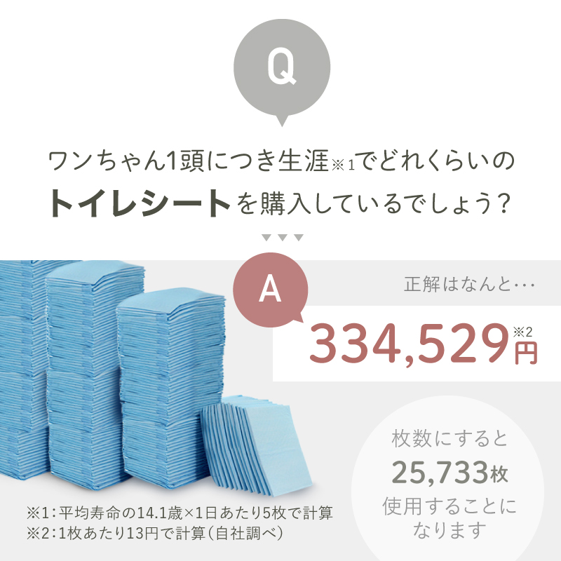 ペットシーツ 2枚セット 洗える レギュラー ワイド 犬 マット 防水 車 ラシエム |  | 06