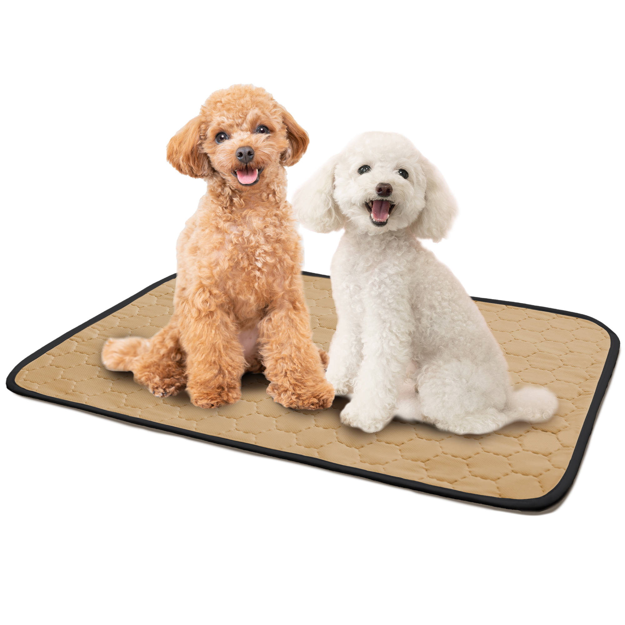 ペットシーツ 2枚セット 洗える レギュラー ワイド 犬 マット 防水 車 ラシエム |  | 02