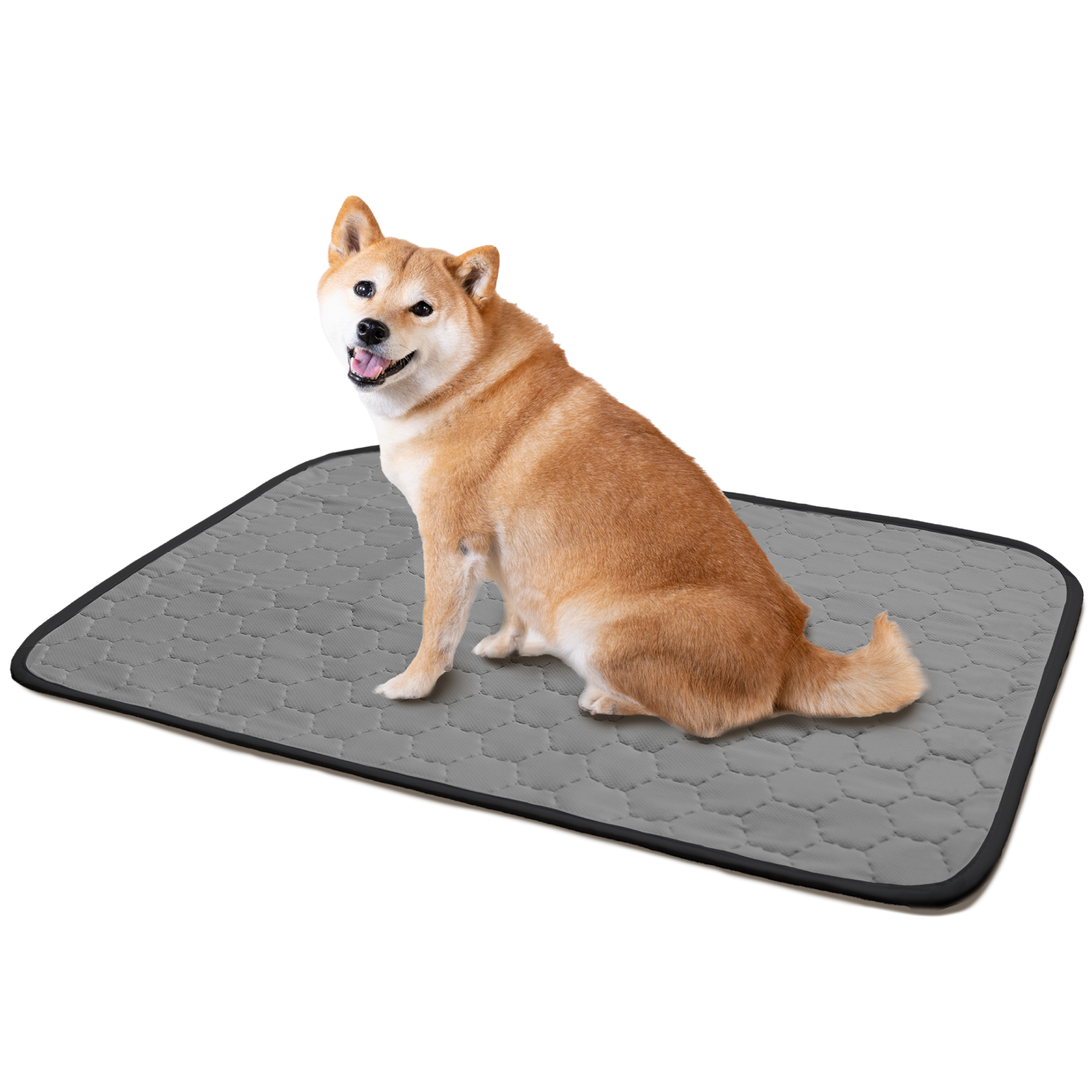 ペットシーツ 2枚セット 洗える レギュラー ワイド 犬 マット 防水 車 ラシエム |  | 03