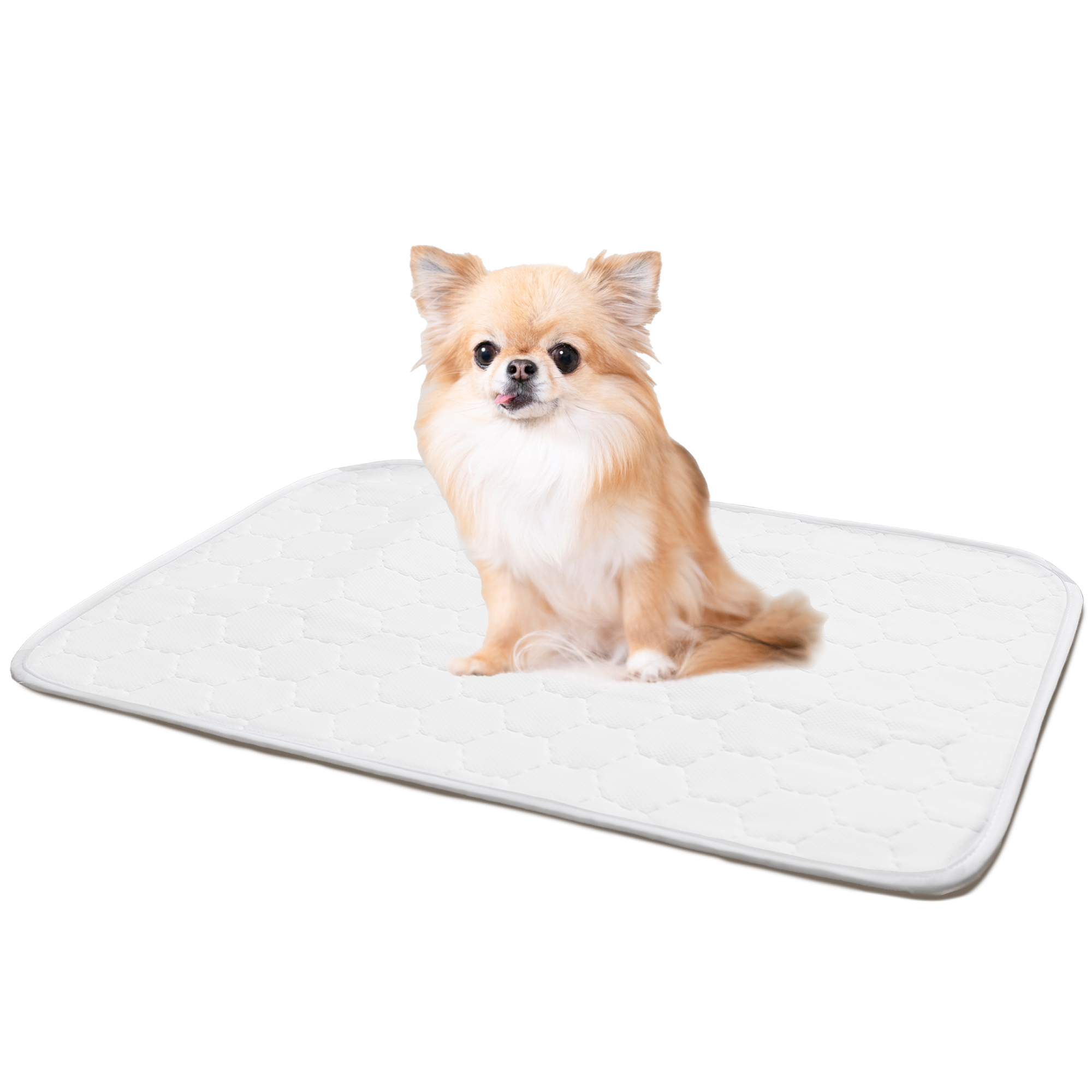 ペットシーツ 2枚セット 洗える レギュラー ワイド 犬 マット 防水 車 ラシエム |  | 01