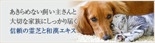 あきらめない飼い主さんと大切な家族にしっかり届く信頼の国産霊芝と和漢エキス