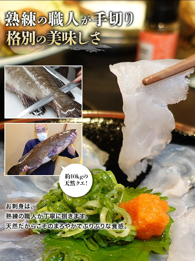 クエ 天然 クエ鍋 刺身 セット 2 3人前 超希少天然クエ 冷凍便 国産 お造り お取り寄せ 送料無料 激安通販ショッピング 鍋