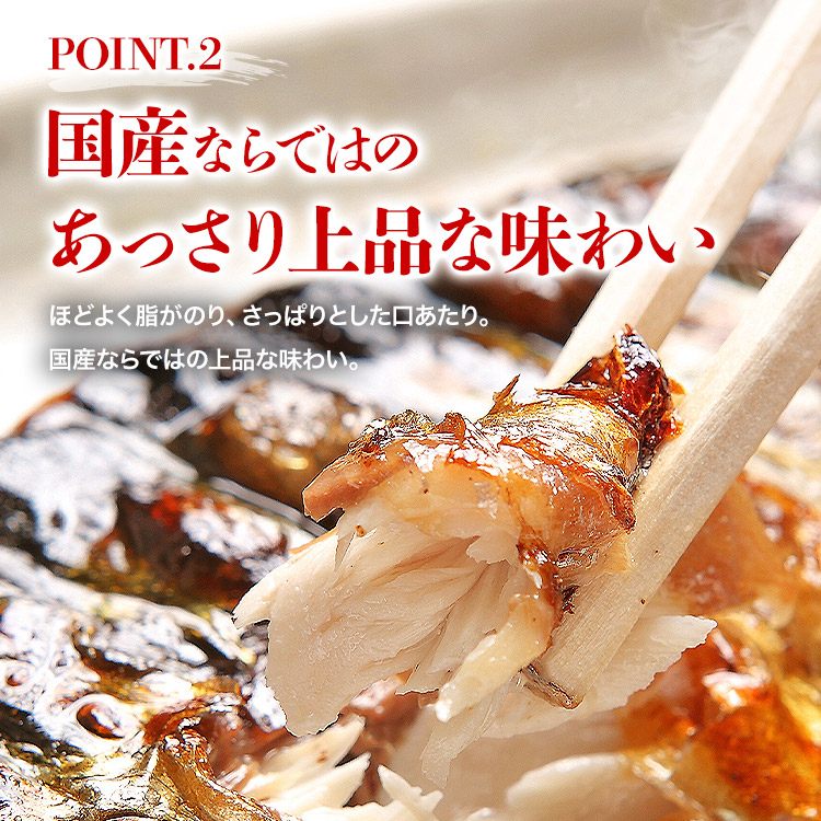 さば 骨取り 国産 無塩・有塩選べる 2kg 骨なし サバ 鯖 フィレ 日本産 冷凍 関連画像4