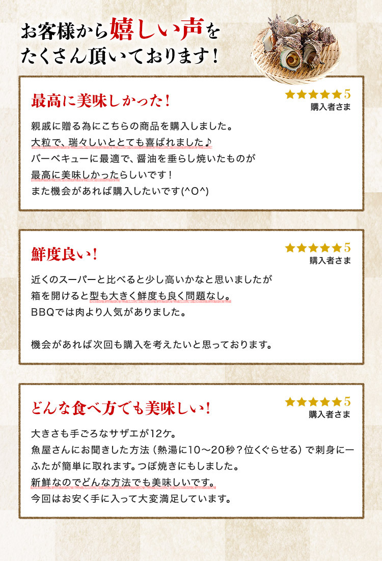 安心の実績 高価 買取 強化中 サザエ さざえ q 1kg 8 13個 ツボ焼き用 活きたまま出荷 同梱不可 中サイズ 冷蔵配送 お取り寄せ 送料無料 敬老の日ギフト