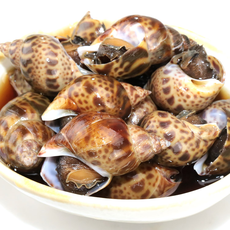 バイ貝 うま煮 1kg 200g ×5パック おつまみ 貝 ばい貝 バイガイ 甘辛 グルメ 食品 海鮮 ギフト 爆買 関連画像3