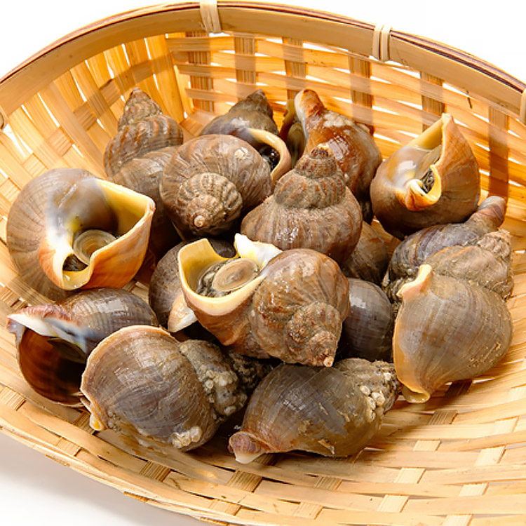 バイ貝 うま煮 1kg 200g ×5パック おつまみ 貝 ばい貝 バイガイ 甘辛 グルメ 食品 海鮮 ギフト 爆買 関連画像4