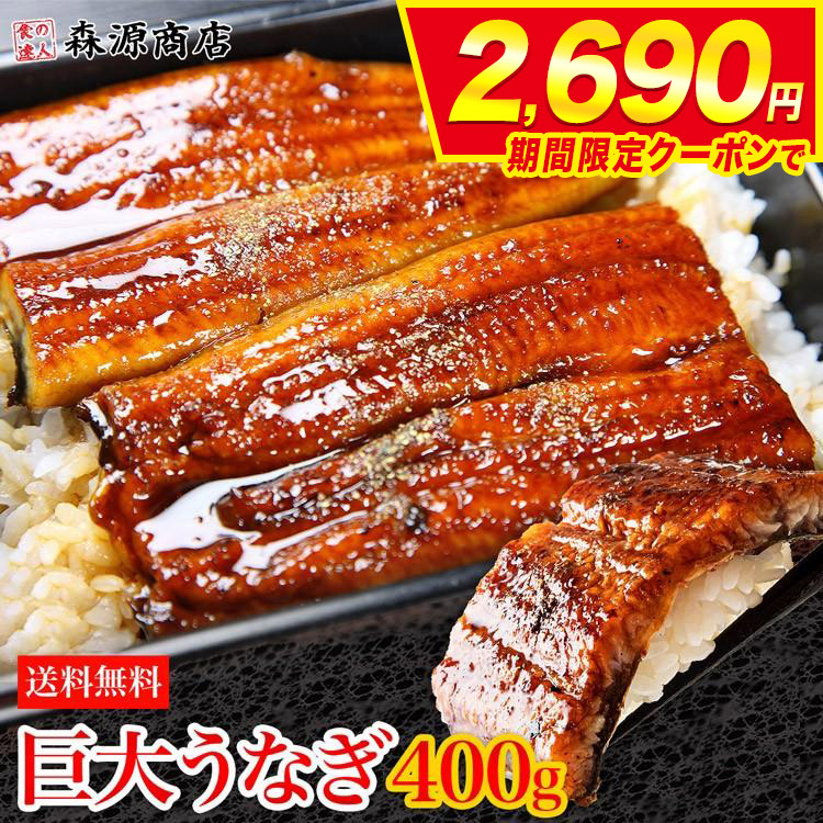 うなぎ 訳あり 巨大うなぎ蒲焼 1尾 1本 約400g前後 大きすぎる訳あり品 ウナギ 鰻 食品 海鮮 ギフト ポイント利用 うな飯