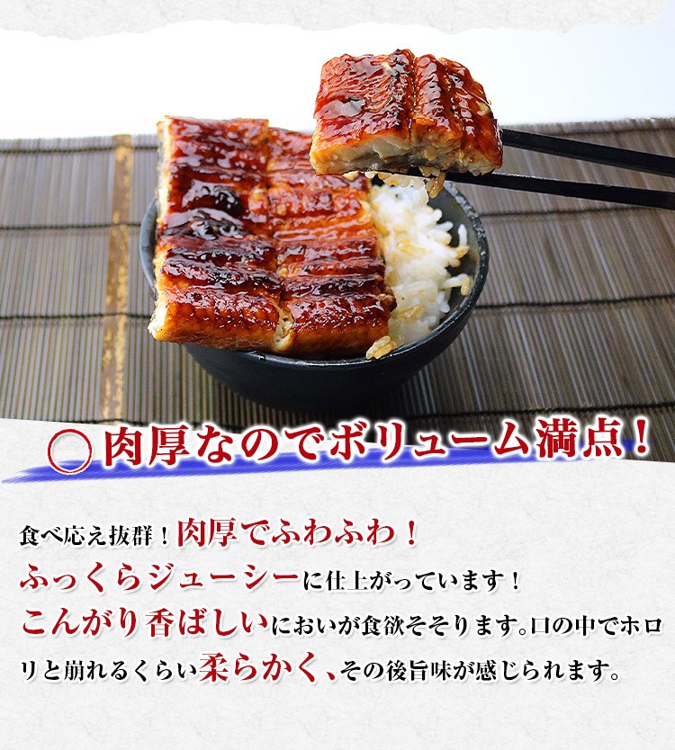 巨大うなぎ蒲焼 1尾 1本 約400g前後 送料無料 ウナギ 鰻 グルメ 食品 ギフト 1500円クーポン :unagi-018:食の達人森源商店 -  通販 - Yahoo!ショッピング