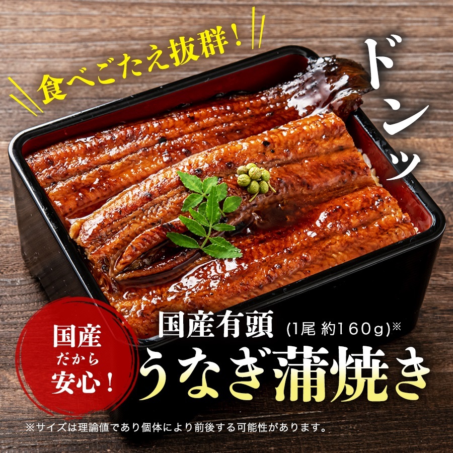 うなぎ 鰻 国産 うなぎ蒲焼き 特大 4尾 約160g×4本 大サイズ 有頭 たれ付き 鰻 蒲焼き グルメ 食品 海鮮 ギフト クーポン :  unagi-035set4 : 食の達人森源商店 - 通販 - Yahoo!ショッピング