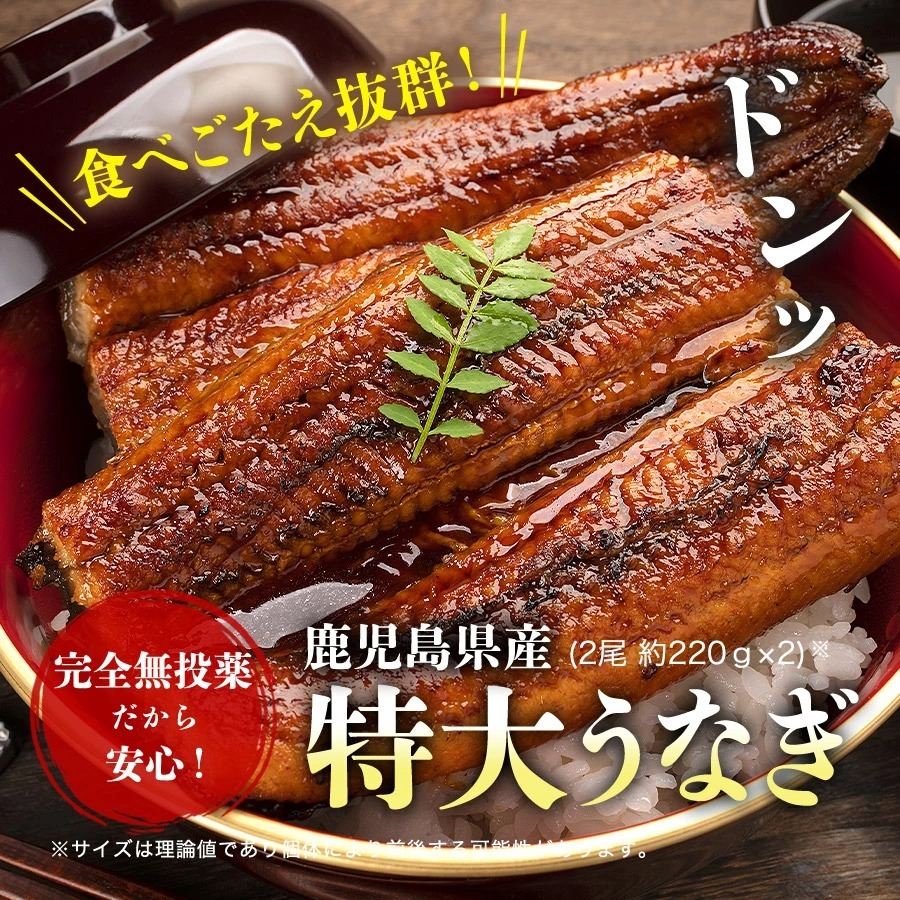 保障 うなぎ お中元 国産 特大 無投薬 うなぎ蒲焼き 約2g 2尾 2本 風呂敷包み 鹿児島 送料無料 冷凍便 鰻 かば焼き お取り寄せ ギフト 再再販