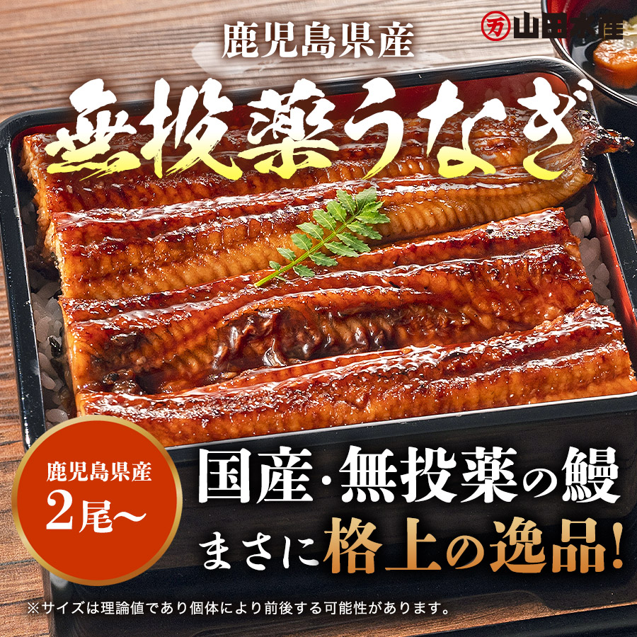 うなぎ 国産 蒲焼き 母の日 ギフト 2026...の詳細画像1