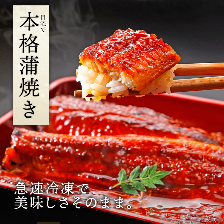 うなぎ 国産 お中元 ギフト 土用の丑の日 鰻 蒲焼き 150g×2尾  ギフトBOX 山田水産 鰻師 鹿児島産 爆買 | 食の達人 | 06