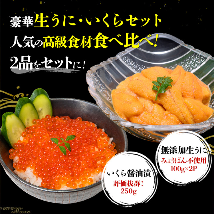 ウニとイクラのセット 無添加生うに 200g 訳あり 小粒いくら 250g 究極