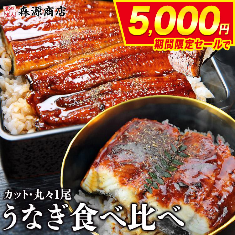 うなぎ 蒲焼き 鰻 人気 2種セット 計800g (巨大うなぎ400g カットうなぎ80g×5パック） | 食の達人