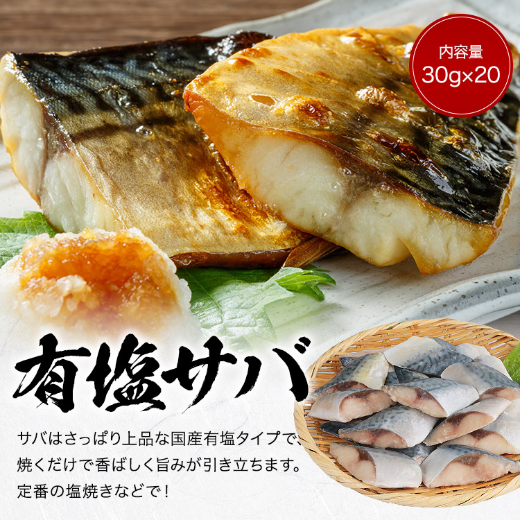 さば さけ 骨取り 有塩さば 無塩さけ 切り身セット 1.2kg(30g×20切×2) 冷凍 骨なし 鯖 サバ 鮭 一口サイズ 関連画像3