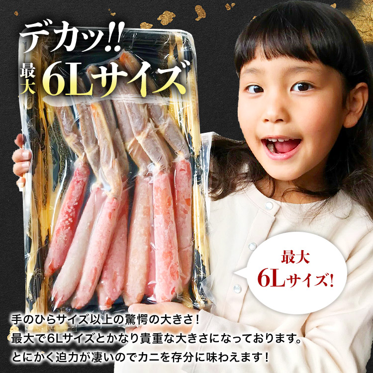 かに 半額 特大 南蛮付きポーション 本ズワイガニ 500g 太脚100% カニ 蟹 かにしゃぶ グルメ 食品 ギフト 海鮮 お中元 2023 カニ 