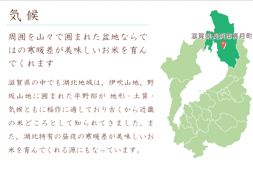 低農薬 きぬむすめ 10kg 令和２年産 白米 50 有機肥料 特別栽培米 1等米 滋賀県環境こだわり米 Km3h10 もりかわ農場yahoo 店 通販 Yahoo ショッピング