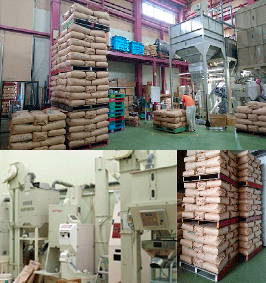 コシヒカリ 無農薬 5kg 令和6年産 真空パック 白米 農薬不使用 コシヒカリ 無農薬 5kg 令和6年産 真空パック 白米 農薬不使用
