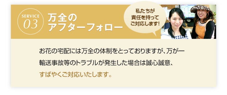 大輪胡蝶蘭天翔