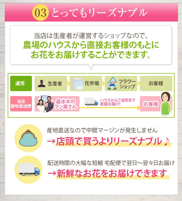 胡蝶蘭3本立ち