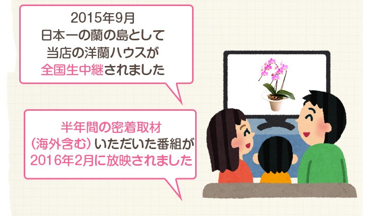 胡蝶蘭3本立ち