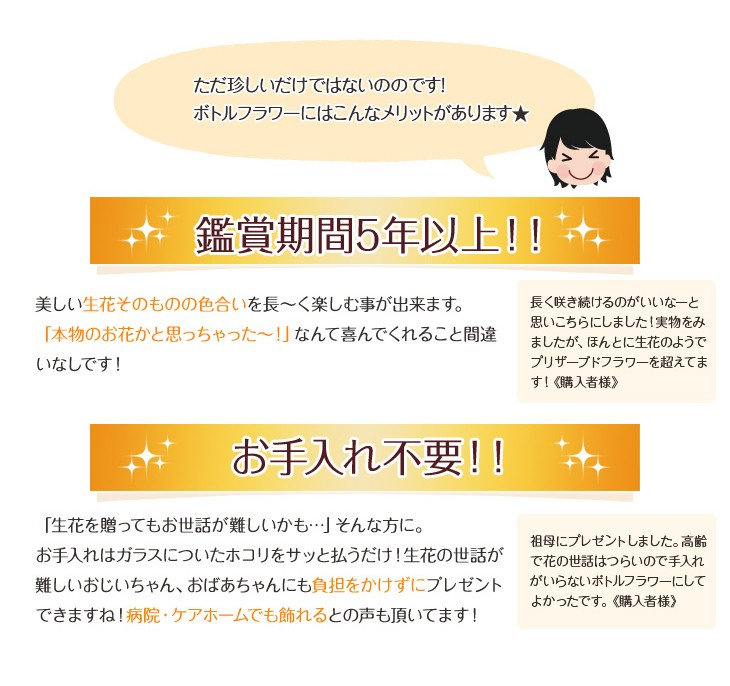お供え 仏花に枯れない洋ランギフト お供え用プレミアムアイランド お取替え お彼岸 お悔やみ お手入れ不要の供花お盆 お見舞い ご供養 仏事 初盆 喪中 見舞い 国産ボトルフラワー 新盆 森のグラスブーケ 法事 送料無料 柔らかな質感の 国産ボトルフラワー