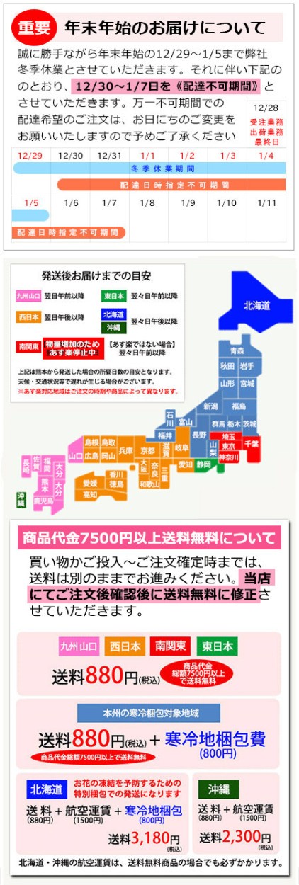 少量 限定開花中 洋ラン バンダ 1本仕立て 選べる3タイプ空中に美しい根を出すバンダは 吊り下げ栽培にも最適 花言葉は 上品な美しさ 贈 Mikasa1 森水木のラン屋さん ヤフー店 通販 Yahoo ショッピング