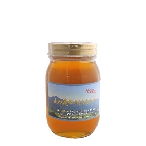 つかもと はちみつ 完熟 生 国産 純粋蜂蜜 無添加 非加熱 600g ✖️3個 つかもと はちみつ 完熟 生 国産 純粋蜂蜜 無添加 非加熱 600g 3個