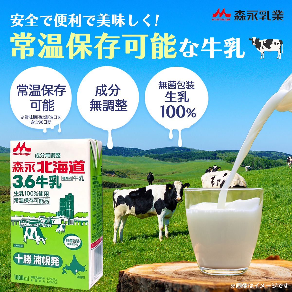 森永乳業 【公式】森永 北海道3.6牛乳 常温保存牛乳 1000ml 12本 牛乳