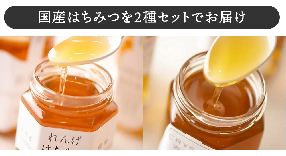 クインビーガーデン（QUEEN BEE GARDEN） 国産 はちみつ 国産はちみつ2