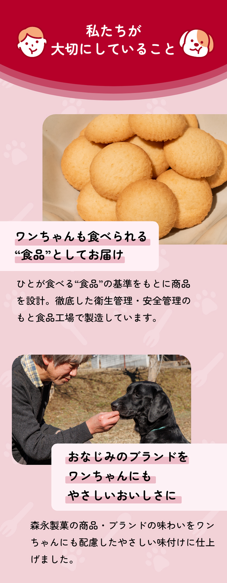 森永製菓 ワンゼリースティック with ドッグ ヨーグルト味 1袋（15g×5