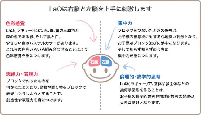 LaQ脳分析