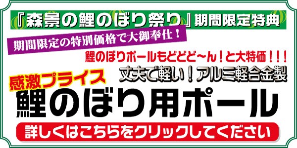 かなめ鯉 4m 8点 鯉5匹 飛龍吹き流し 錦鯉 鯉のぼり 大型セット