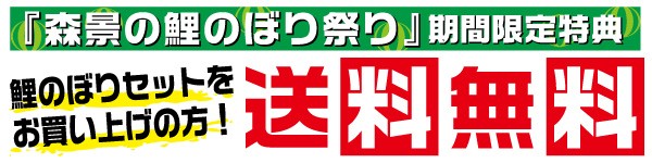 かなめ鯉 4m 8点 鯉5匹 飛龍吹き流し 錦鯉 鯉のぼり 大型セット