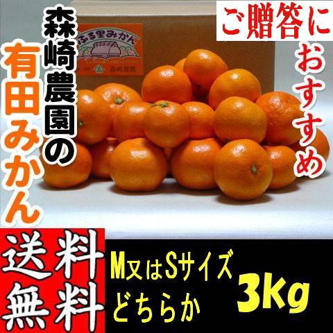 有田みかん 3kg M・Sサイズおまかせ 森崎農園 ふる里みかん ありだみかん 和歌山 ギフト お歳暮 贈答用 家庭用 産地直送 | 