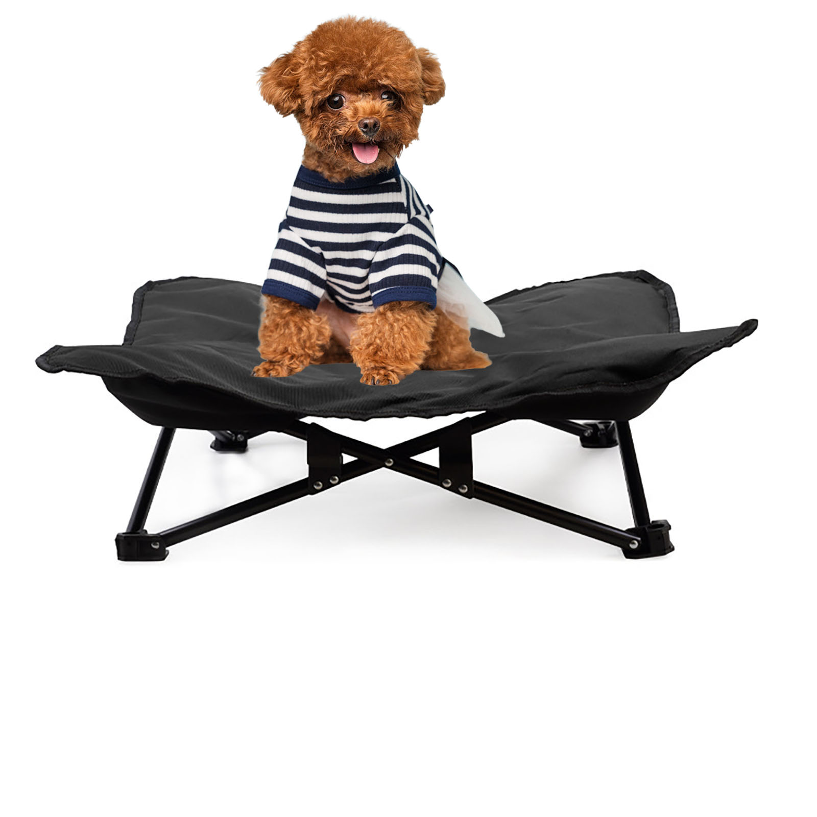 ドッグコット 犬 キャンプベッド 折りたたみ アウトドア＆室内兼用