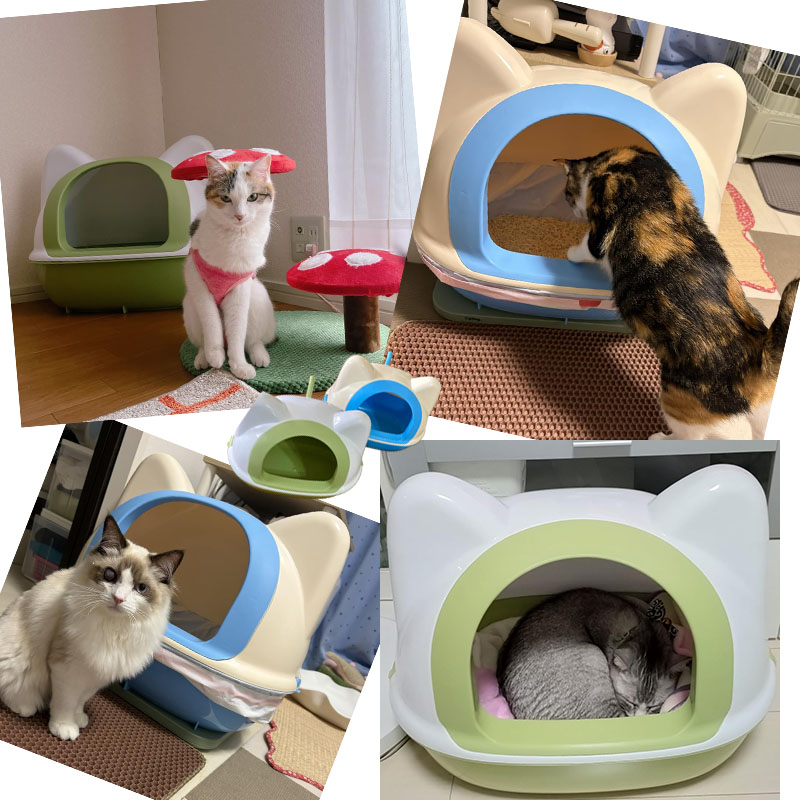 猫トイレ