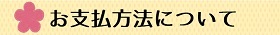 お支払いについて