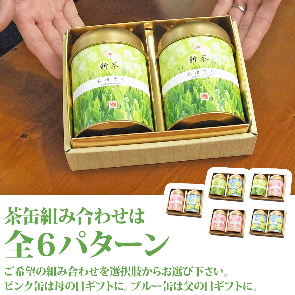 【2025新茶】【お茶とお菓子】　新茶　厳選深蒸し茶＆選べるお菓子　ギフト　No.9（好評ギフトの新茶仕様）　茶畑乃恵　お茶のモリタ園　母の日　父の日 |  | 08