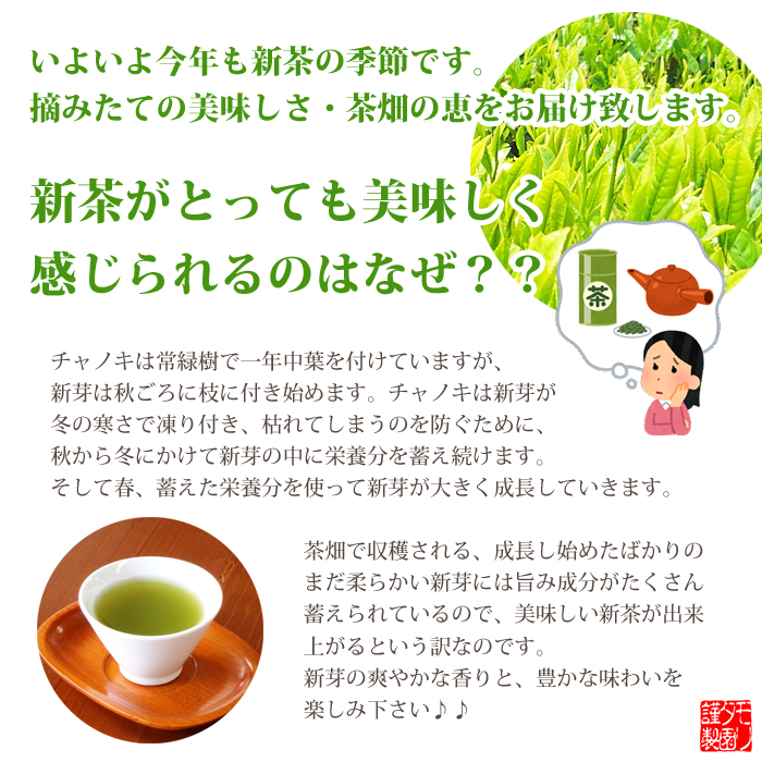 【2025新茶】【お茶とお菓子】　新茶　厳選深蒸し茶＆選べるお菓子　ギフト　No.9（好評ギフトの新茶仕様）　茶畑乃恵　お茶のモリタ園　母の日　父の日 |  | 07