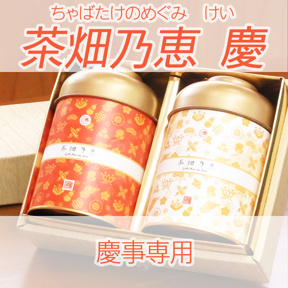 茶畑乃恵　慶