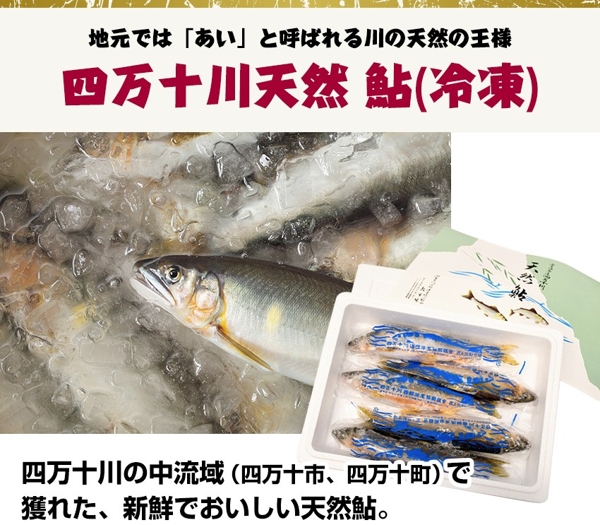四万十川天然 鮎 （冷凍） Lサイズ 3匹セット 1匹、約130g〜 個