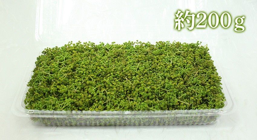 花山椒(約200g) 山椒の花 山椒しゃぶしゃぶに 佃煮材料 ハナサンショウ