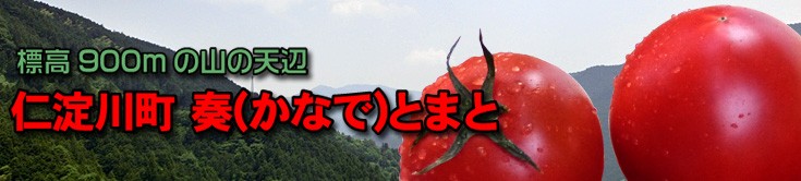 s-kanade0t