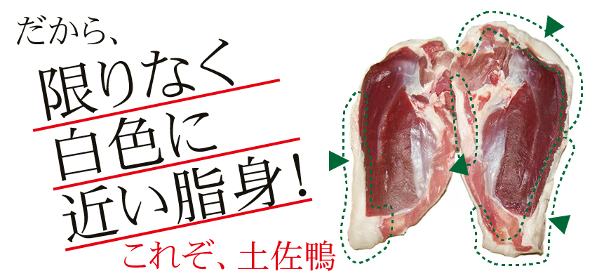 限りなく白色に近い脂身　これぞ土佐鴨