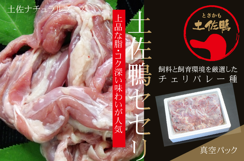 土佐鴨セセリ 約500g（クール冷凍便）真空パック